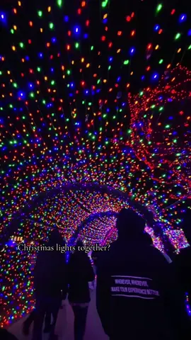 #christmas #christmaslights #fyp #viral #together 