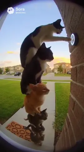 Ding Dong Ditching With Friends 😳 #sora #ai #fyp #viral #group7 