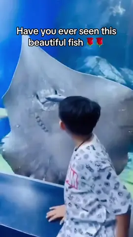 Don’t go please watch to and , you are kind to share many times to help save my beautiful family #creatorsearchinsights #community #creator #millionviews 