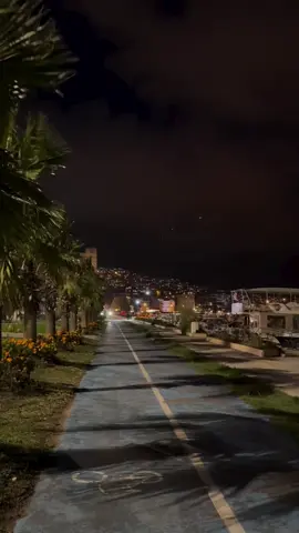 Sinop sahilinde rüzgarla dans ettik palmiye tempo tuttu 🌴💃💨#gece #palmiye#ruzgar #sahil 