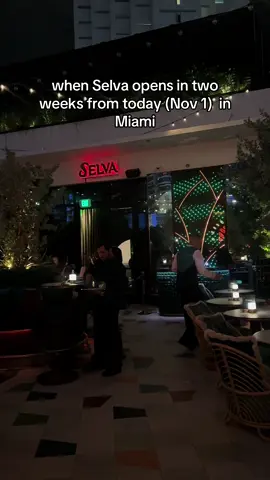 wonder what the vibes with be but brickell needs this #selva #nightclub #miami #brickell #amazonico 