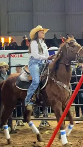 #ptrolpamp #egua #abqm #cavalo #cavalo 