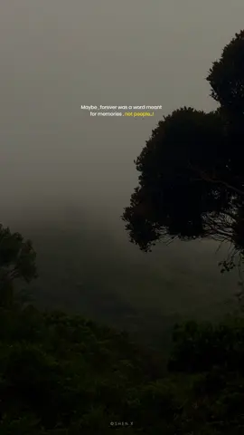 අපි දුර වැඩී මේ භවේ පාරමී නෑ පුරා 🤍  #dasedurin #dilubeats #onemillionaudition #fyyyyyyyypppppppppppp #shenx999 @DILU Beats 