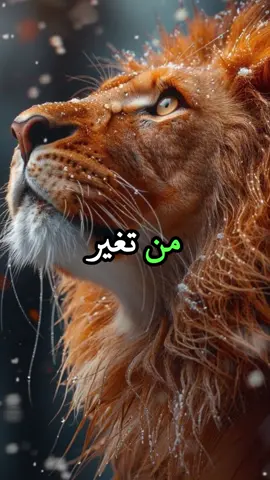 لا تحزن على من يتغير عليك فجاة👉 فقد كشف لك قيمته #اقتباسات #حكمة #خواطر #اكسبلور #نجاح #علم_النفس #تطوير_الذات #كلام_من_ذهب #اطمئن #اقتباسات_عبارات_خواطر #تحفيزات_إيجابية #اللهم_صلي_على_نبينا_محمد #fyp #explore #viral_video #psychology