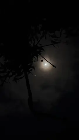 𝐒𝐡𝐨𝐰 𝐦𝐚𝐚 𝐥𝐚𝐝𝐧𝐚𝐚𝐭𝐞𝐞𝐧 𝐚𝐧𝐚 𝐦𝐚𝐛𝐚 𝐥𝐚𝐝𝐧𝐚𝐚𝐝𝐞𝐧 💕🫶