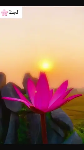 #اللهم_انت_ربي_لا_اله_إلا_أنت_خلقتني .💛