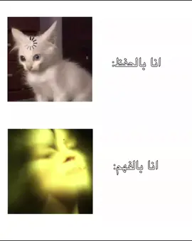 عشان كذا اخترت علمي👽#school #friendship #جست_كايلي🧚🏻‍♀️💗 #احبكم_يا_احلى_متابعين #fyp 