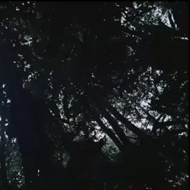 curhat baya amah #kalimantan#dayak ma'anyan#marengge#fypppppp