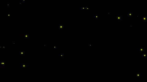 محمد الحیدان / سورة الواقعە ٨٨-٩٣ #قران_كريم #محمد_الحيدان #لاالەالااللە_محمد_رسول_الله🤲🏻🖤 #اللهم_صلي_على_نبينا_محمد #النبرة_اللحيدانية 