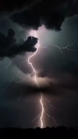 القرآن الكريم #ياسر_الدوسري #القارئ #تلاوة_خاشعة #قرآن_كريم_راحة_نفسية🌷🌻 #viralvideo 