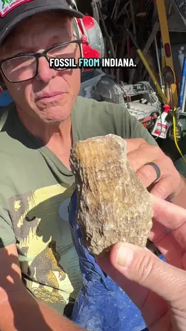 Idea from @Kelsey and now I want to try more! #fossil #indiana #geode 