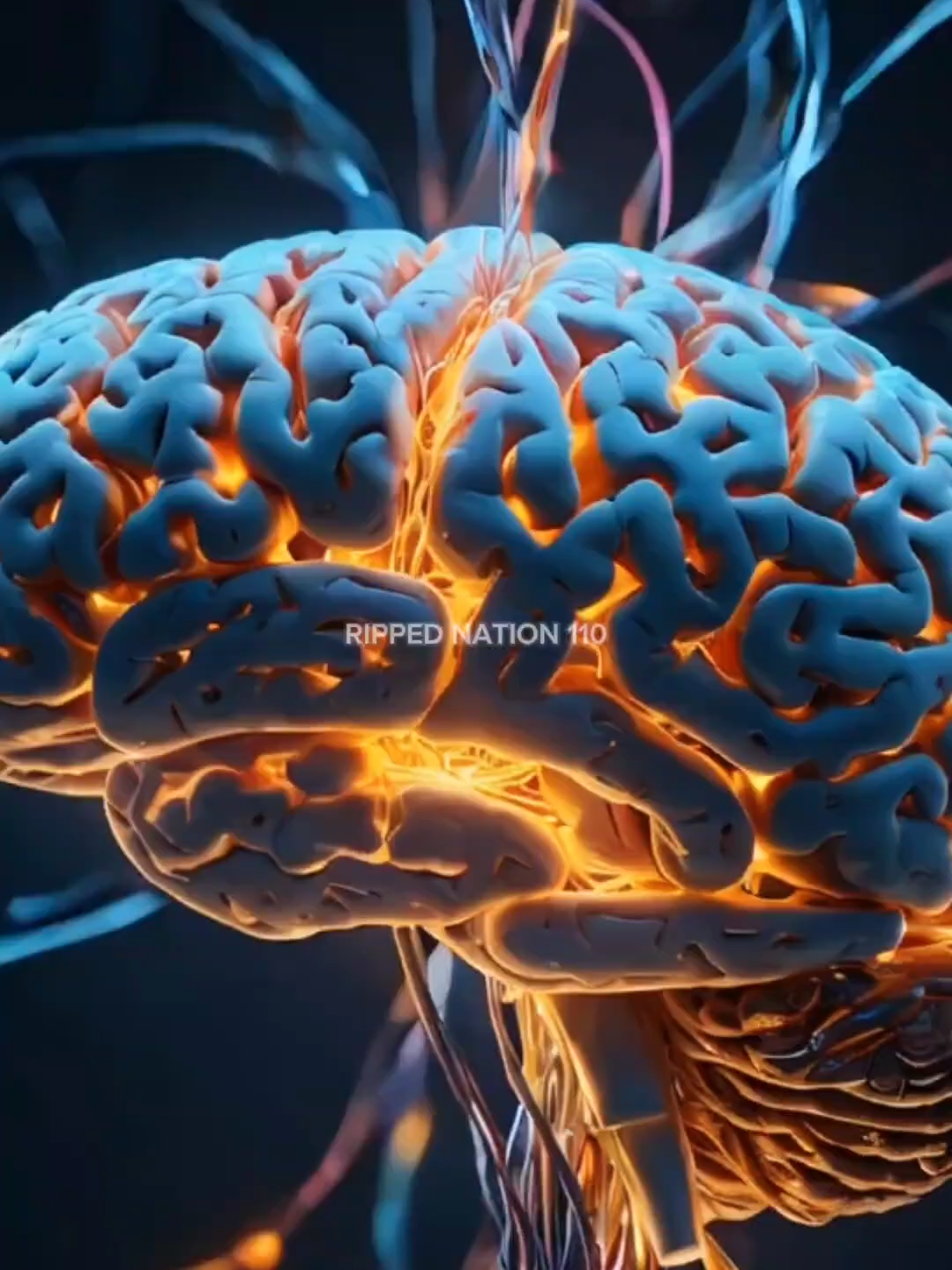 3 Superfoods to Boost Your Brainpower #brain #memory #bodyfunction #superfoods #Brainpower