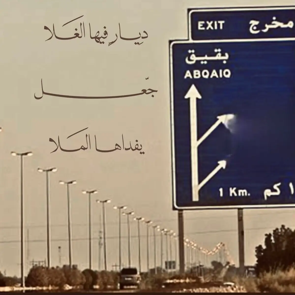 #explore #بقيق #viral #foryou 