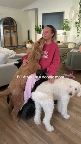 Doodle lovers where are youuuu? 🫶🏼 