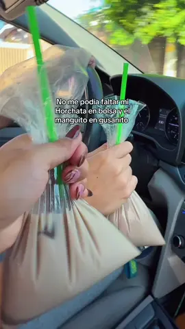 #elpulgarcitodeamérica #elsalvador🇸🇻 #sivar503 #horchata #mango 