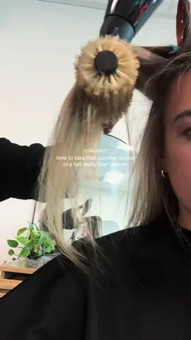 bright is so out @haleydidmyhair #hairtok #blonde #trending #fallblonde #charleston 