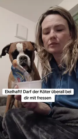 #vi #f #t #page#dog Ja wir teilen mit unserem Hund,denn er ist ein Familienmitglied!