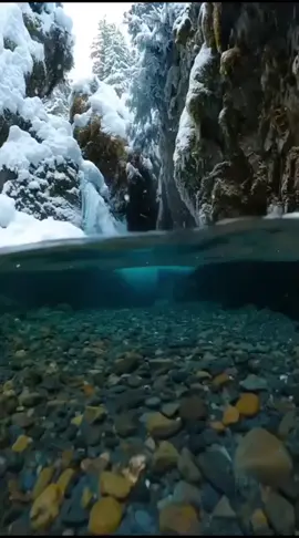 #ترند#اكسبلور_لا_يطول_غيابك