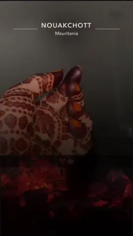 #CapCut #مستر #روجي 