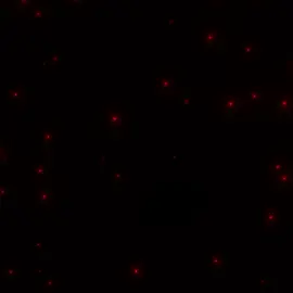 #تابعوني_فضلا❤ #🗿👍🗿 #ليش_ماتابعني #شفتك_تابعني #انتصر_يمتن_تجو 