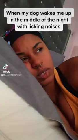 The fact that one of my most highly viewed videos was removed for violating “community guidelines” 4 years after posting when it was literally a video about my dog 🙂