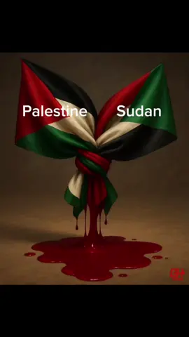 Aamiin kan doa ini.. Buat Saudara Seislam Kita Di Sana.🤲🏻🤲🏻🤲🏻🤲🏻 #freePalestine #freeSudan
