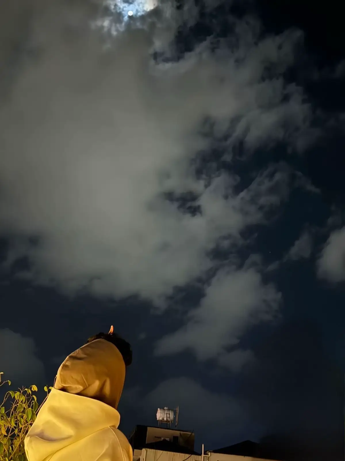 كلن يقول اليوم بس نفسي وبس  بجني انا الاثمار لو غيري غرس  لو يدري ان المال في الدنيا دنس كان اقتنع الانسان لا لا تندم يوم لو ضاعت فرص  كل شئ بأمر اللّٰه مقسوم الحصص  خذ عبره من الايام ودروس وقصص مالك سوى الاحسان افرح ولا تهتم وانسى اللي جرى  لي ضاق صدرك يوم روح المقبره ما تنترس هالعين الا من الثرى حكمه لكل انسان #اكسبلورexplore #fipシ 