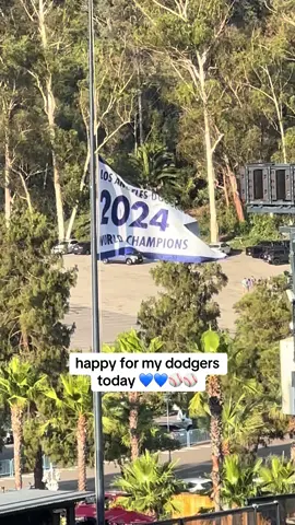 sad for the blue jays a little #dodgers #MLB #WorldSeries