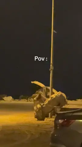 #explore #دبي #pov 