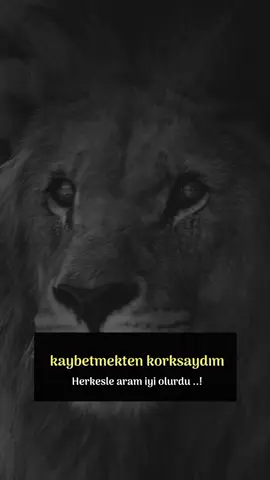 🇹🇷🦅🐺🇹🇷