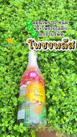 #โพชงพลัส เครื่องดื่มสมุนไพรเพื่อ สุขภาพ#โพชง#เครื่องดื่มสมุนไพร #สมุนไพร #สุขภาพดี 