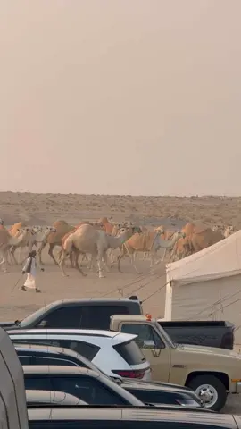 #اكسبلور #الخبر #الدمام #السعودية 