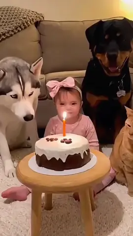 Lovely moment baby and dog❤️🥰#dog #bestfriend #Love #foryou #usa🇺🇸 