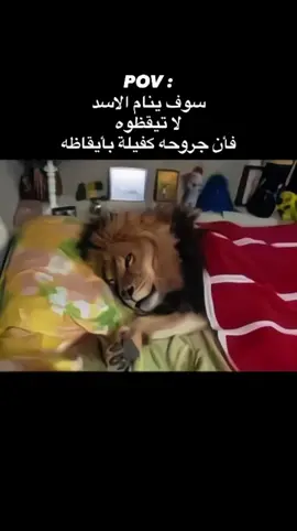 #fyp #explore #4u #viral #fyppppppppppppppppppppppp 