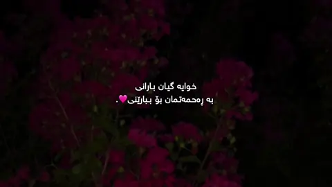 🩷  #_zan0oo #foryou #foryoupage #fyp #viral 