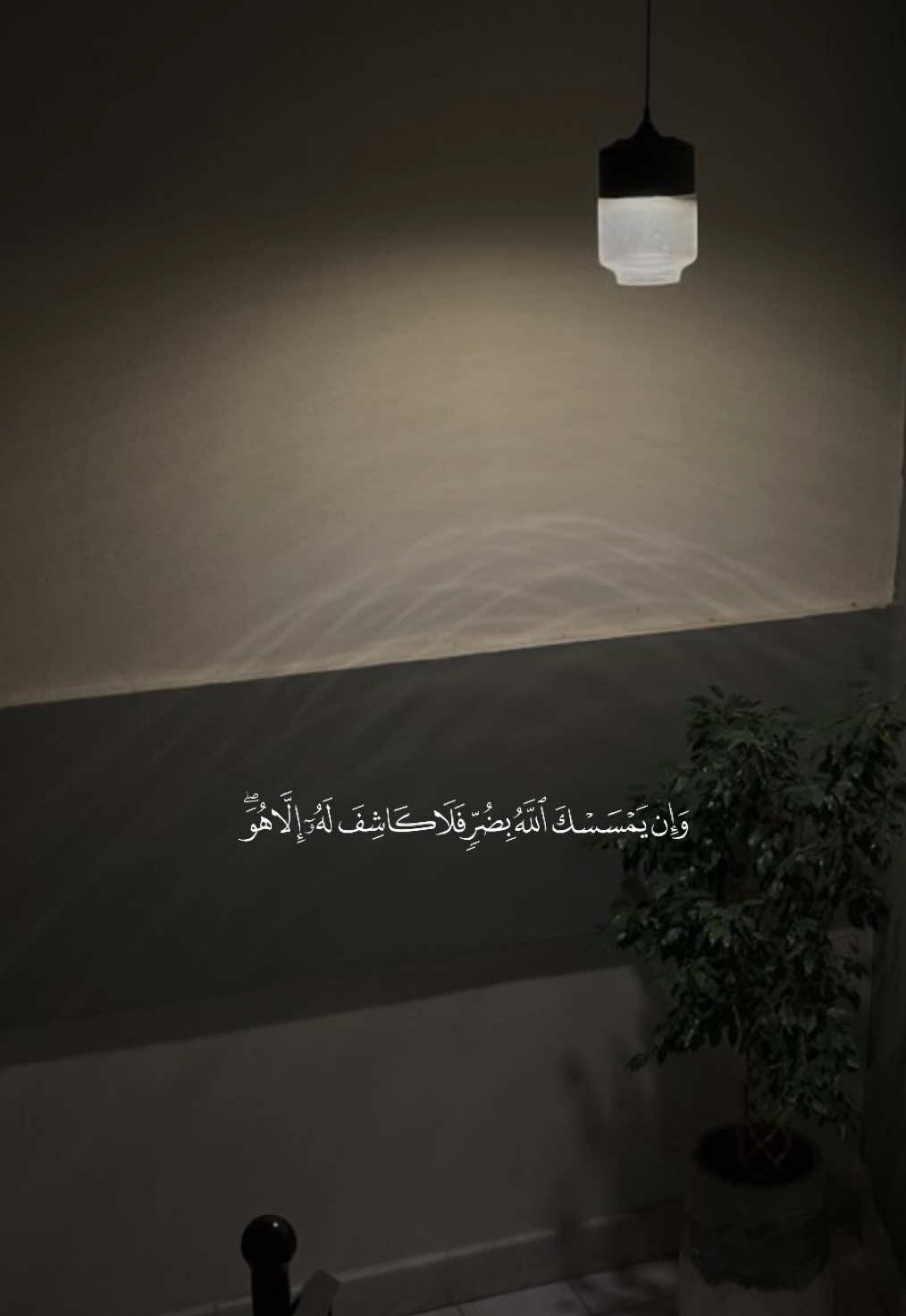 #تلاوات #عبدالله_الموسى #سورة_يونس 