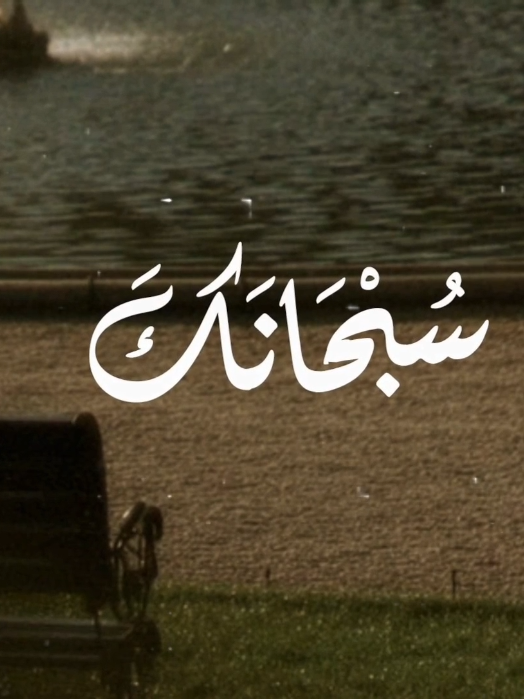 🦩| ❤❤❤❤ .  .  .  #قران #quran #الشيخ_محمد_الليثي #الليثي 