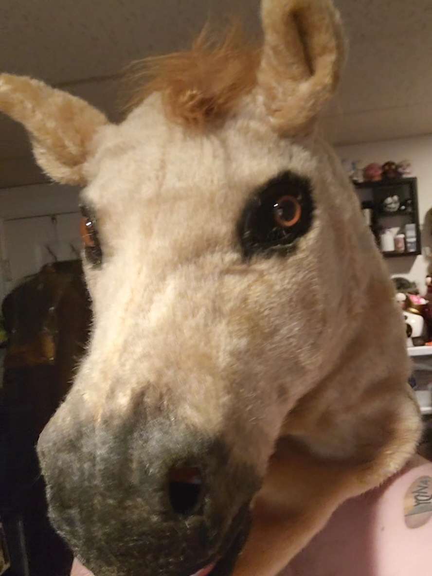 well time to start bingeing it #bojackhorseman #halloween #netflix 