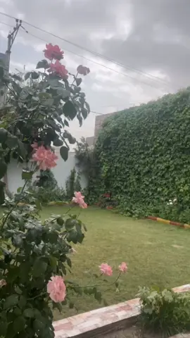 #محمد_عبدالجبار #هواجيس #انستا_بل_بايو #fyp #🤎 