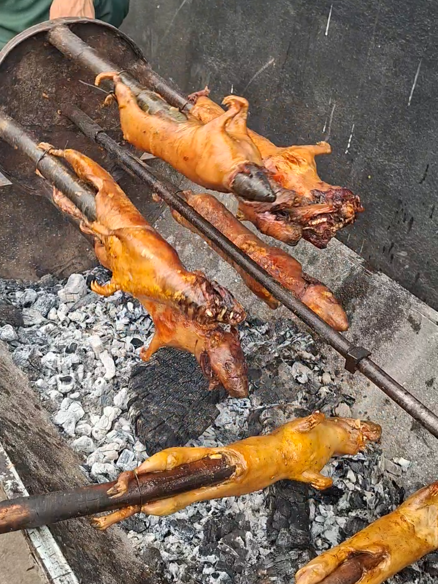 Acelerador de partículas 😅🐹 #cuyes #feriado #coladamorada #ecuador🇪🇨 #tradicion 