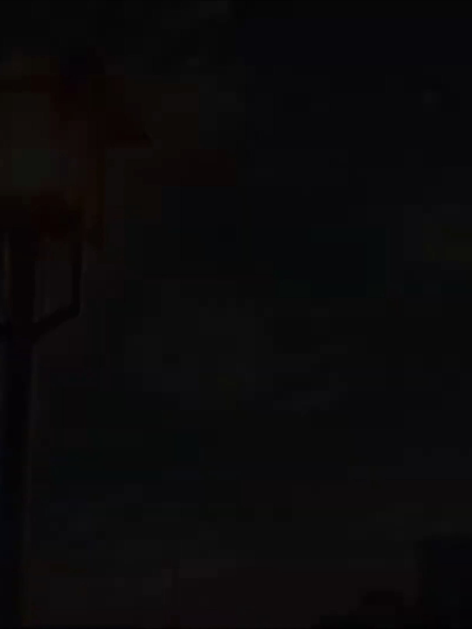 The beauty of anime || Song: Love Me by JMSN #anime #fyppppppppppppppppppppppp #fypシ゚viral #fypシ #fypage #animeedit #animetiktok #animetok #edit #lyricedits #lyricsmusic #4k #awesome #animefan #editor #editaudio #video #fireedit #fire #beauty #BeautyTok #beautyeditor