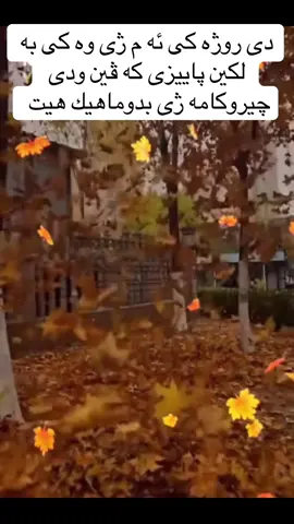 #دهوك_زاخو_سليماني_ئاكري_ئامیدی_هولیر الله اكبر