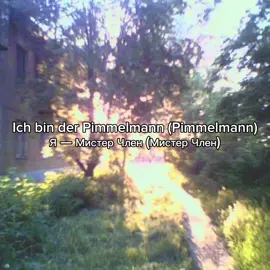 Pimmelmann - And One #song #fyp #песня #fypシ゚ #переводпесни #recommendations #рекомендации 