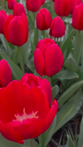 #الرياض #مكه #الكويت #البحرين #مصر🇪🇬 