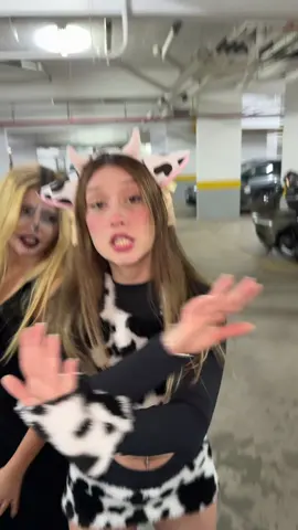 melhor época do ano 