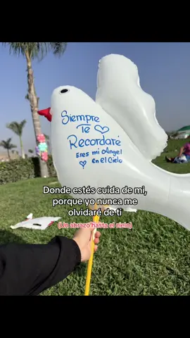 Mi querida abuelita👵🤍#abuelita #fyp #cielo #1denoviembre #teextraño 