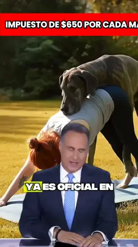 #news #ultimahora #breakingnews 