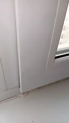 #рекомендации #тестнафею @🤯 @hzzdf109 чисто из за них выкладываю 