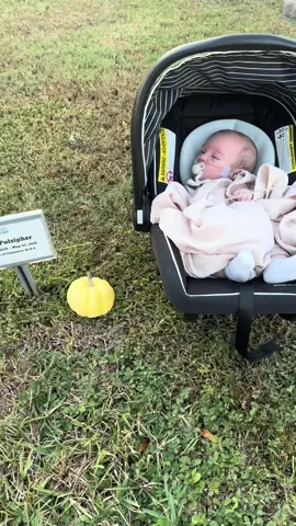 Finally took Jack to visit Jett after spending almost 5 months in the NICU. 💙💙 #twins #nicu #twinloss #identicaltwins #momotwins 