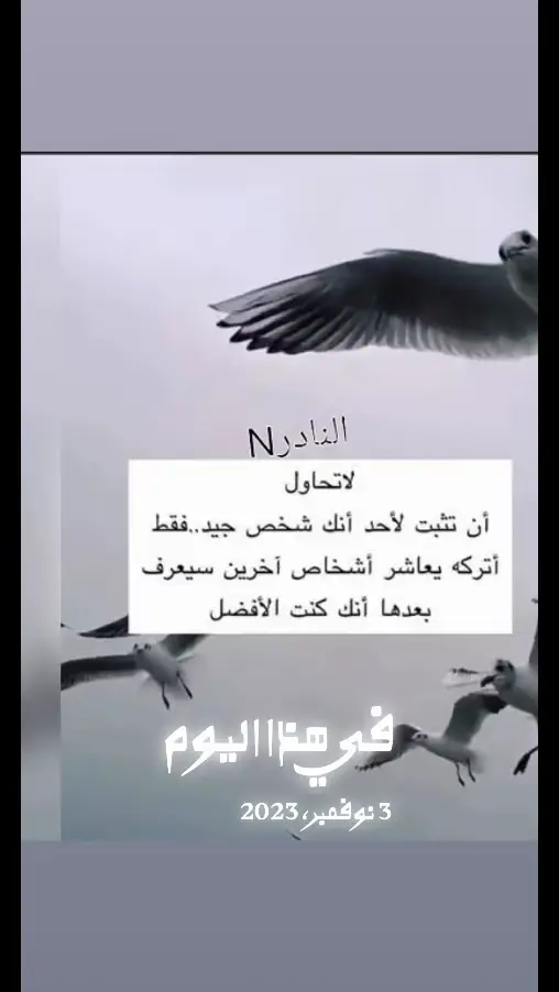 #في هذا اليوم 